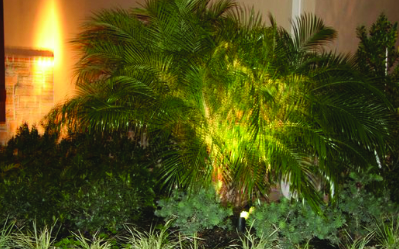 placeholder image-sq