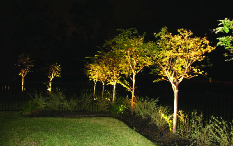 placeholder image-sq