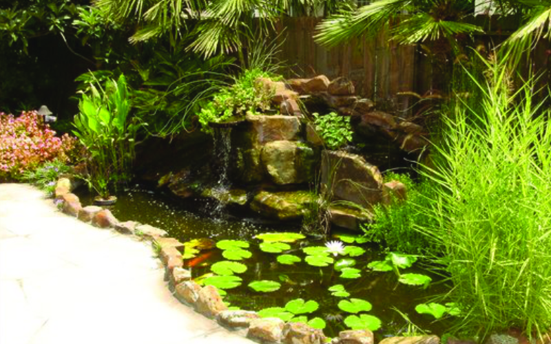 placeholder image-sq