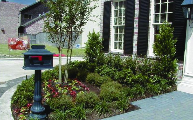 placeholder image-sq